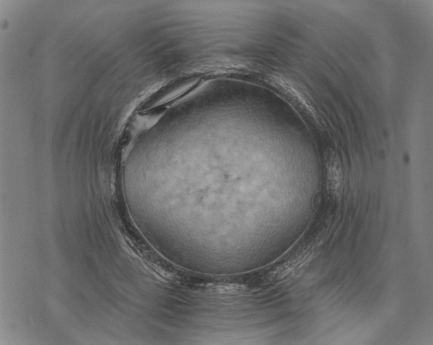 X0000076350539200610161801