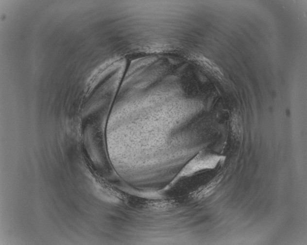 X0000076350540200610161801