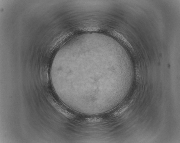 X0000076350541200610161801