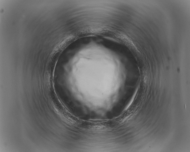 X0000076350542200610161801