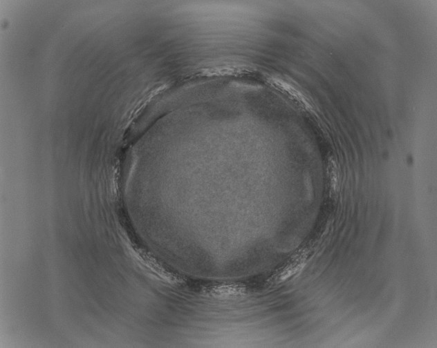 X0000076350546200610161801