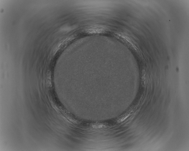 X0000076350547200610161801