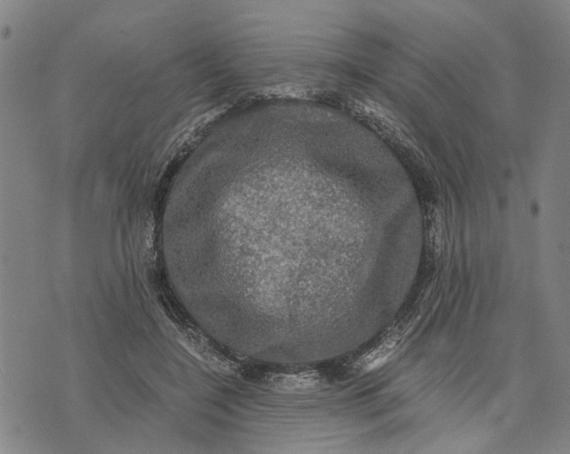 X0000076350548200610161801