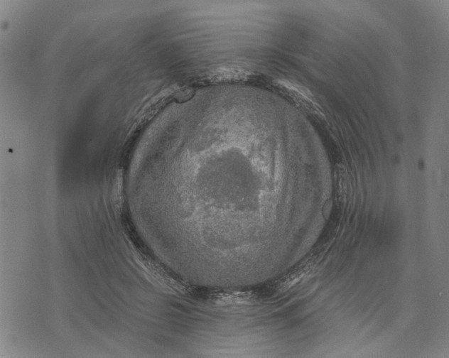 X0000076350550200610161801