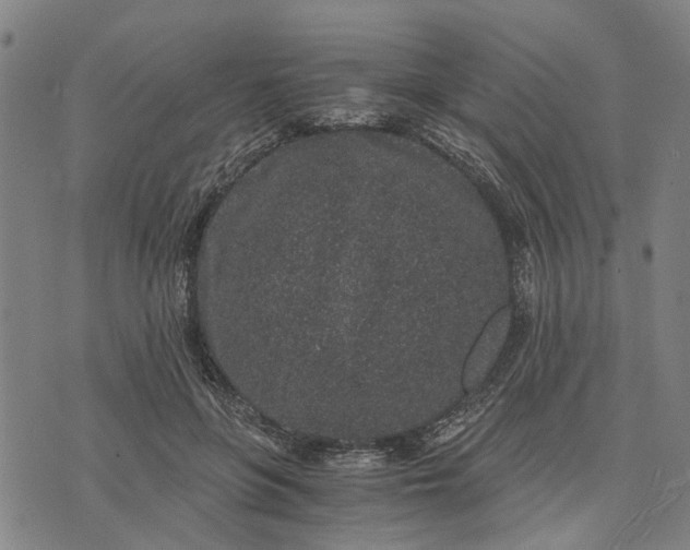 X0000076350551200610161801