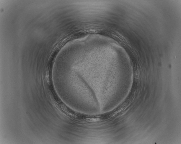 X0000076350552200610161801