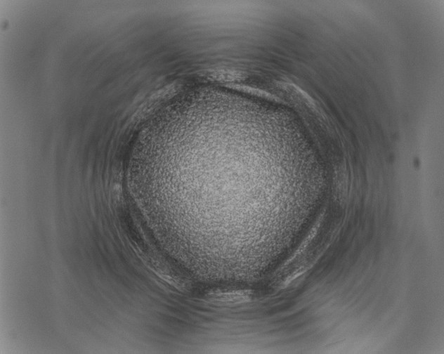 X0000076350553200610161801