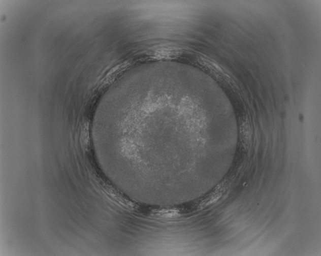 X0000076350554200610161801