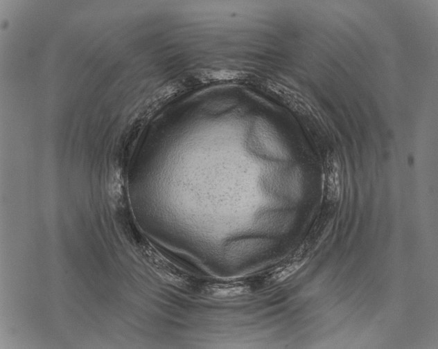 X0000076350555200610161801