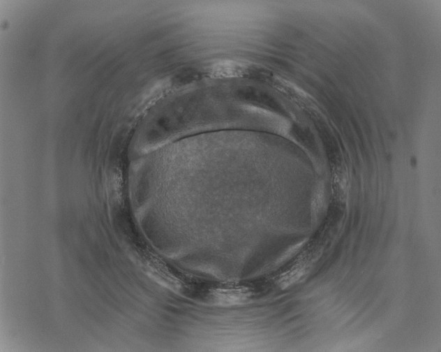 X0000076350556200610161801