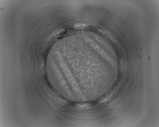 X0000076350557200610161801