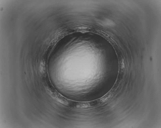 X0000076350559200610161801