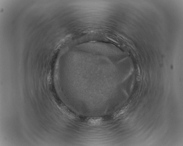 X0000076350560200610161801