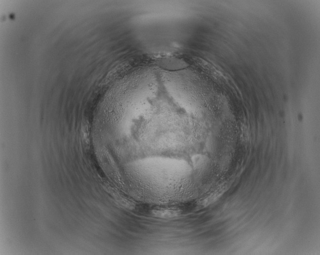 X0000076350561200610161801