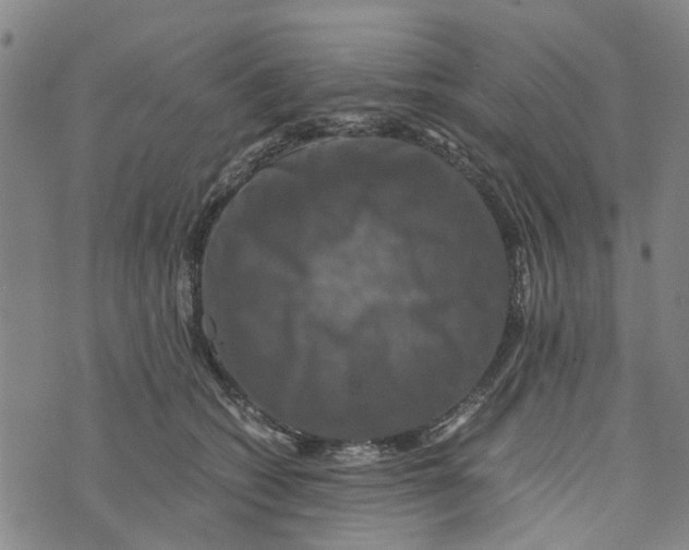 X0000076350562200610161801