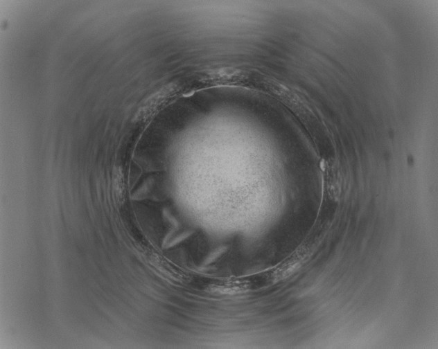 X0000076350563200610161801