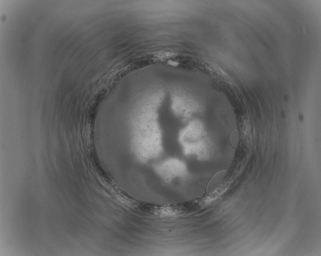 X0000076350565200610161802