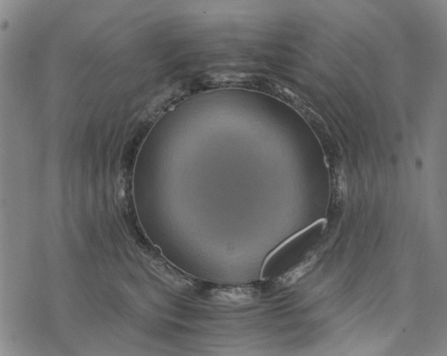 X0000076350567200610161802