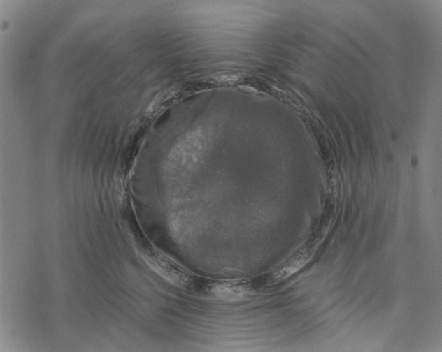 X0000076350568200610161802