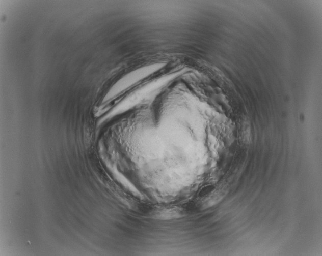 X0000076350569200610161802