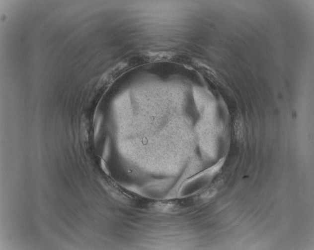 X0000076350570200610161802