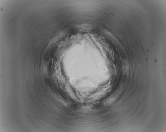 X0000076350573200610161802