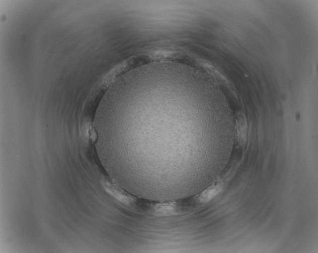 X0000076350574200610161802