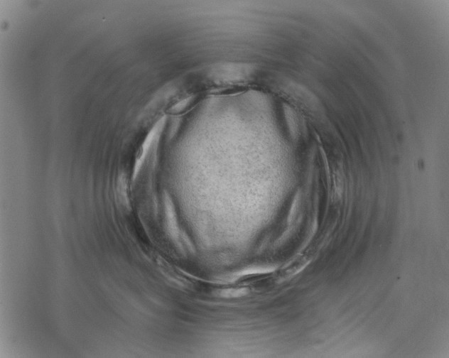 X0000076350575200610161802