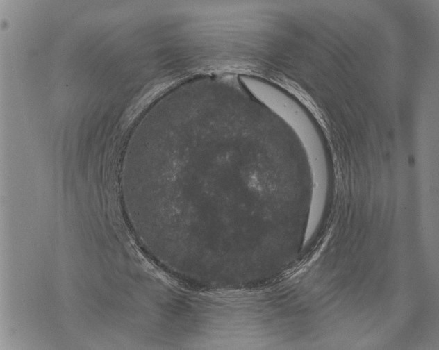 X0000076350577200610161801