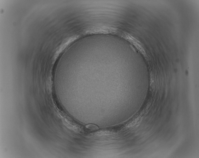 X0000076350578200610161801