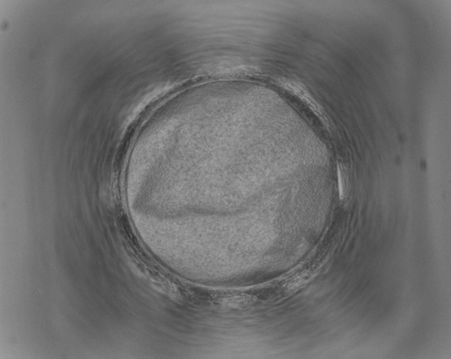 X0000076350579200610161801