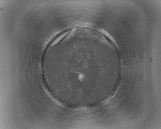 X0000076350581200610161801