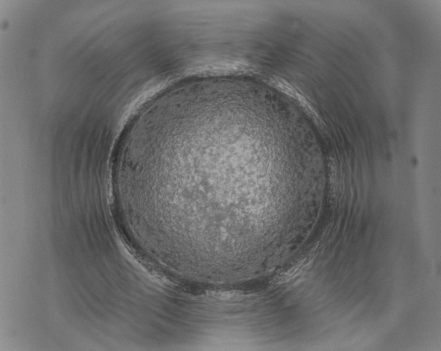 X0000076350582200610161801