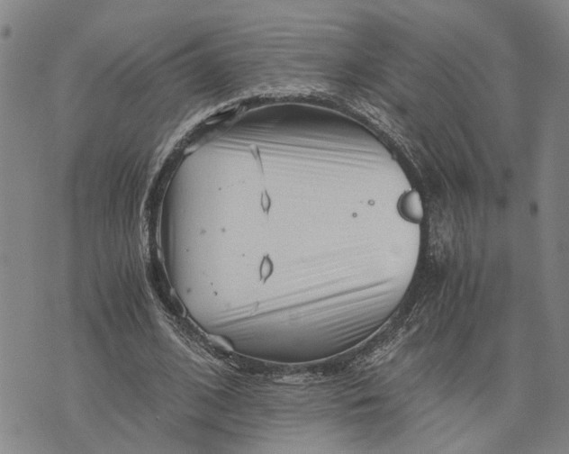 X0000076350584200610161801