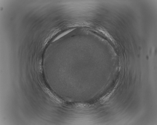 X0000076350585200610161801