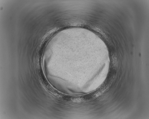 X0000076350587200610161801