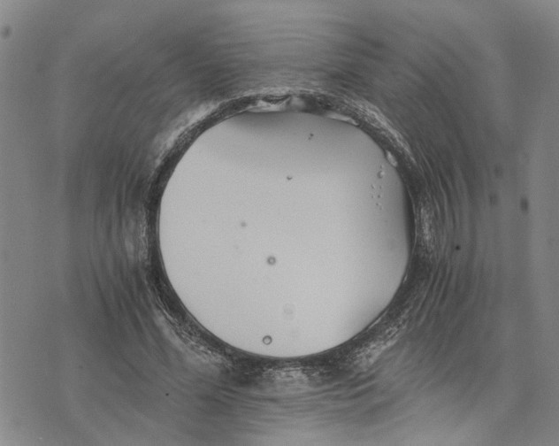 X0000076350588200610161801