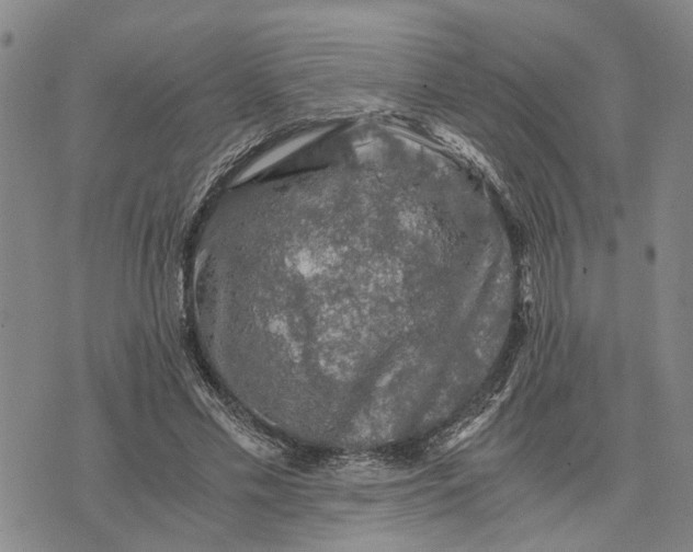 X0000076350589200610161801