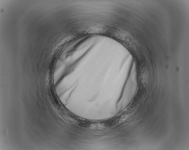 X0000076350591200610161801