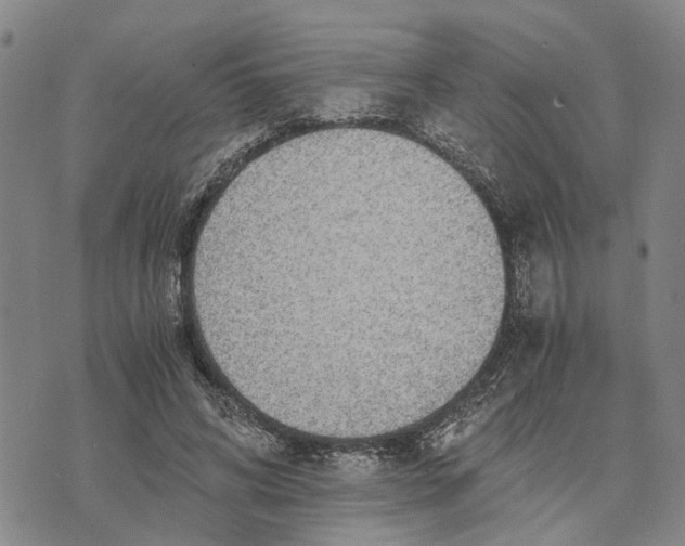 X0000076350592200610161801