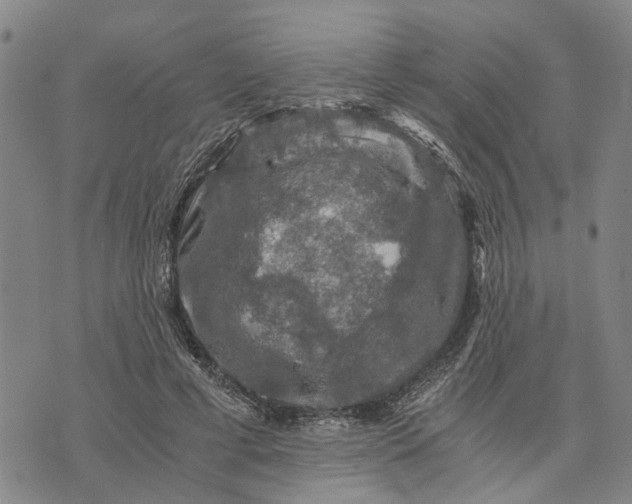 X0000076350593200610161801