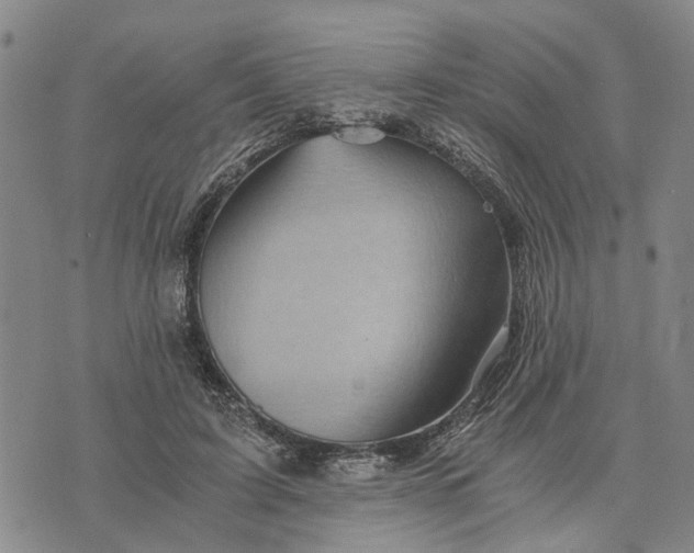 X0000076350595200610161801