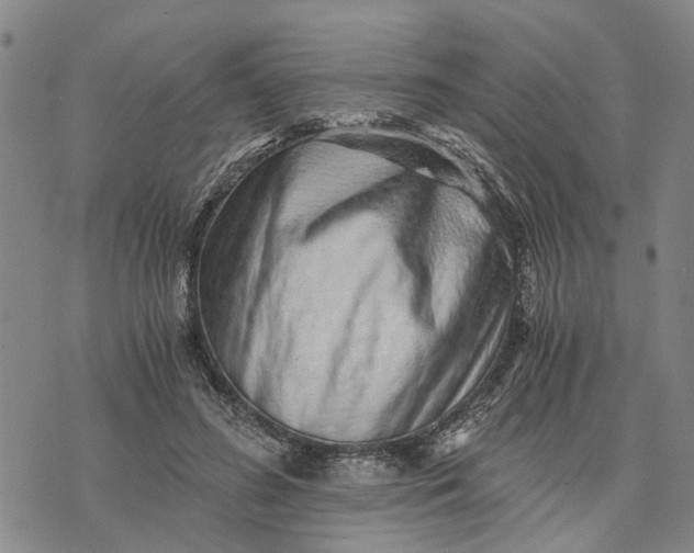 X0000076350596200610161801