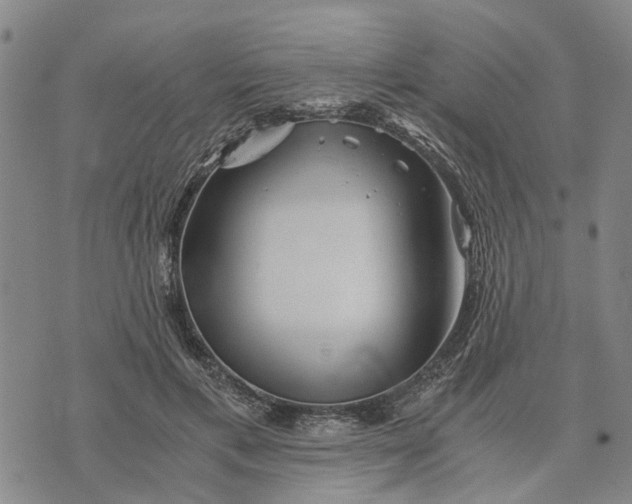 X0000076350597200610161801