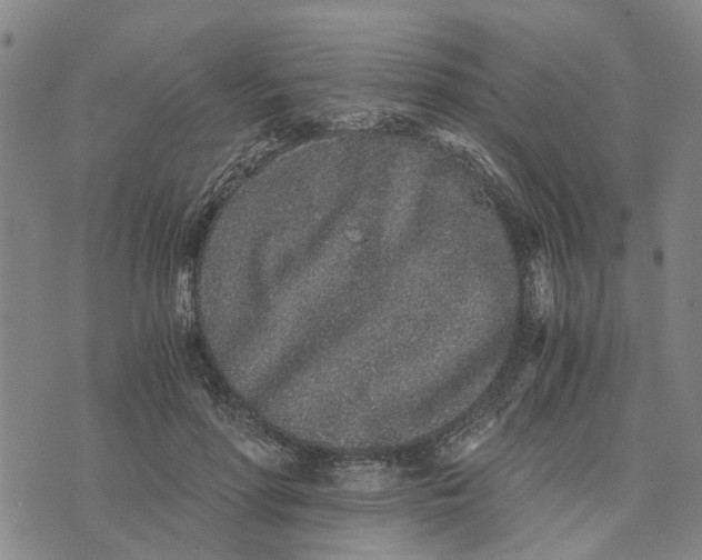 X0000076350598200610161801