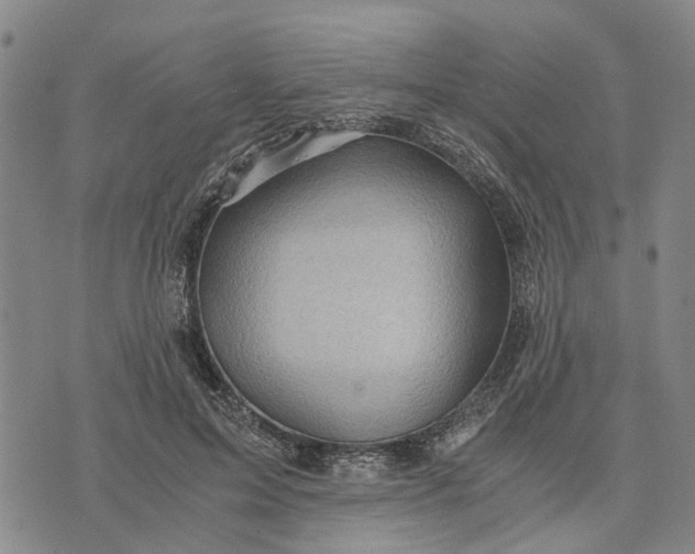 X0000076350599200610161801