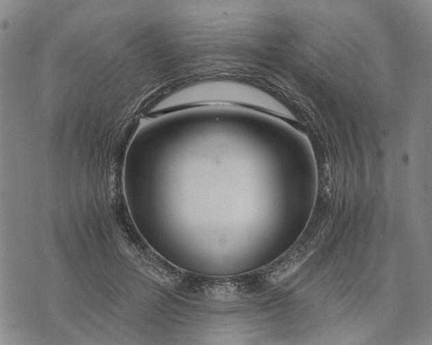 X0000076350600200610161801