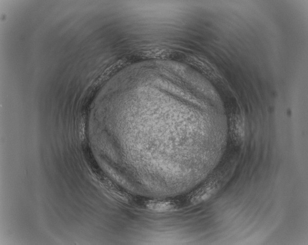 X0000076350602200610161801