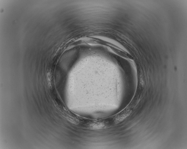 X0000076350604200610161800