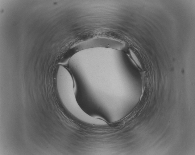 X0000076350605200610161800